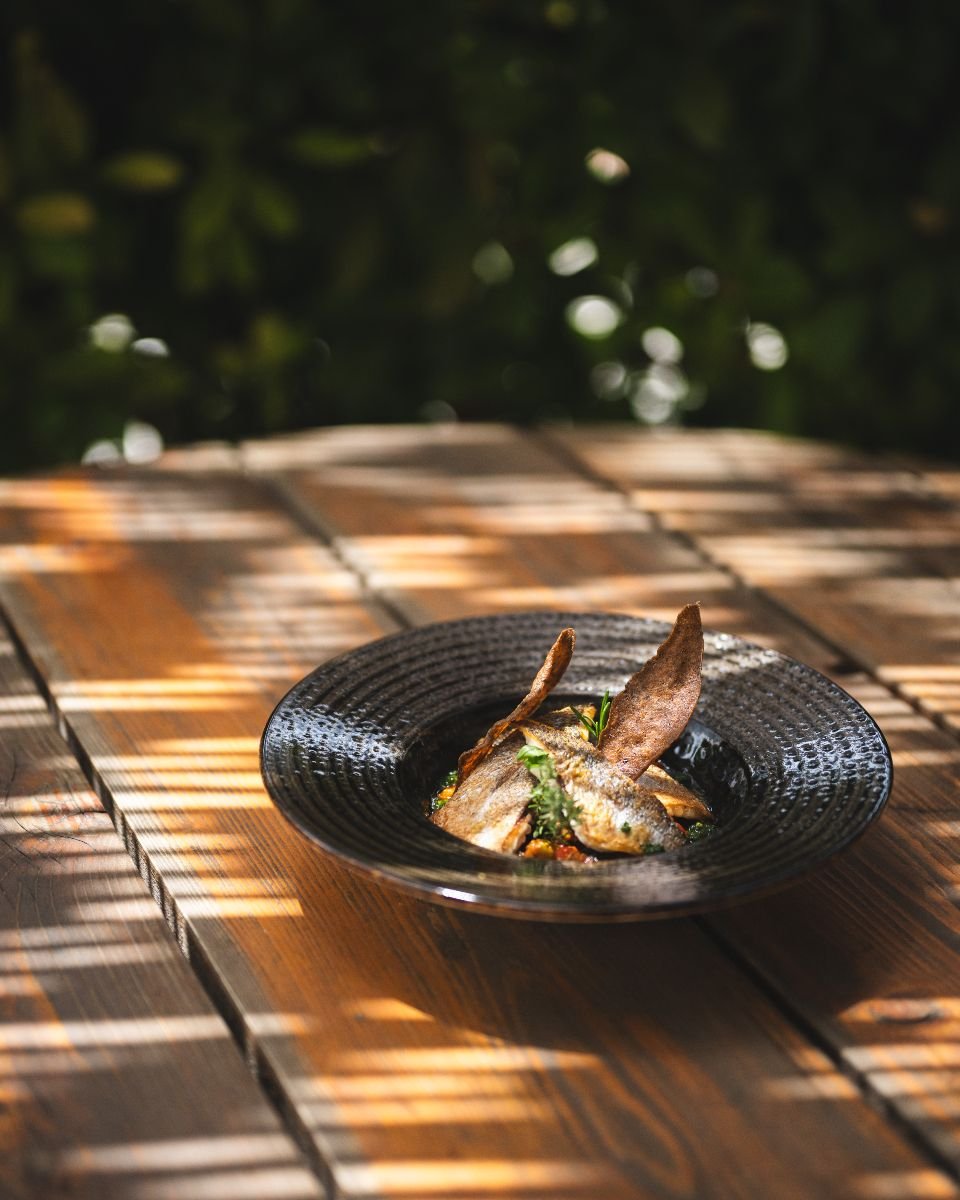 Daube niçoise